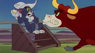 Tom And Jerry Cartoon Episode 49 - Texas Tom 1950 - Funny Animals Cartoons For Kids