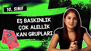 11) EŞ BASKINLIK ÇOK ALELLİK KAN GRUPLARI - KALITIM 4 | 10. SINIF | TYT BİYOLOJİ