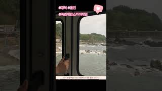 죽변해안스카이레일을 타고 왔어요 2025.10.10 경북 울진