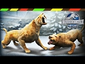 Smilodon, Indricotherium & Sarkastodon | Jurassic World The Game part 23 |