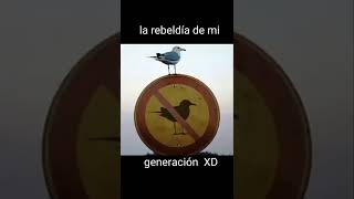 Imposible E Increíble Te Ries Pierdes 2022