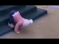 baby fail videos,baby cuteness videos,baby funny videos,baby crsying videos
