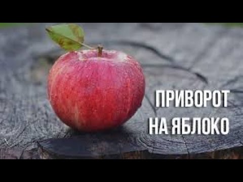 Ремонт рулевой рейки с гур ланос Ремонт рулевой рейки с гур ланос