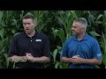 Yield Maps #961 (Air Date 9-4-16)
