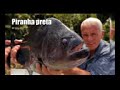 10 Monstros do Rio mais perigosos do mundobaixavideos com br