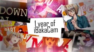 1 Year of iBakaCam
