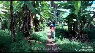 Kituko