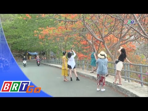 Đẹp ngỡ ngàng hoa phượng vĩ Vũng Tàu | BRTgo