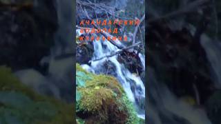Ачандарский Водопад В Абхазии 🙂☺👍😊 #Красота #Природа #Водопад #Вид #Зелень #Растительность #Чудо