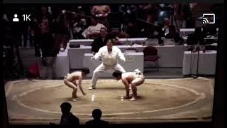 Japanese Kids Incredible Sumo Match