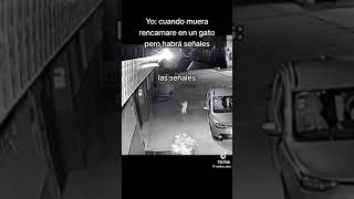 27 De Agosto De 2023