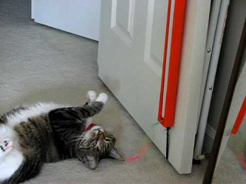 Fling Ama String Cat Toy Upgrade