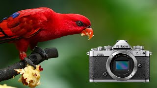 Should you buy the Nikon Z fc?