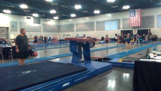 Karina Gomez - Vault