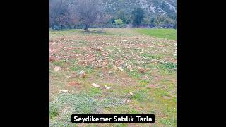 Seydikemer Ortaköyde 2.443 M² Tarla Yatırım Ve Hobi Bahçesi İçin İdeal