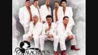 Watch Alacranes Musical Solo En Ti video