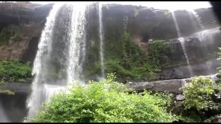 Renuka