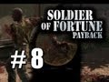 Soldier Of Fortune: Payback
