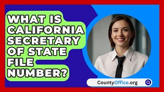 What Is California Secretary Of State File Number? - Countyoffice