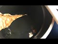 Bettas~ Getting rid of oil layer and white film in my water storage unit