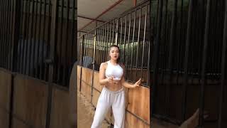 Tiktok Naz Kayar At Çiftliği Videoları