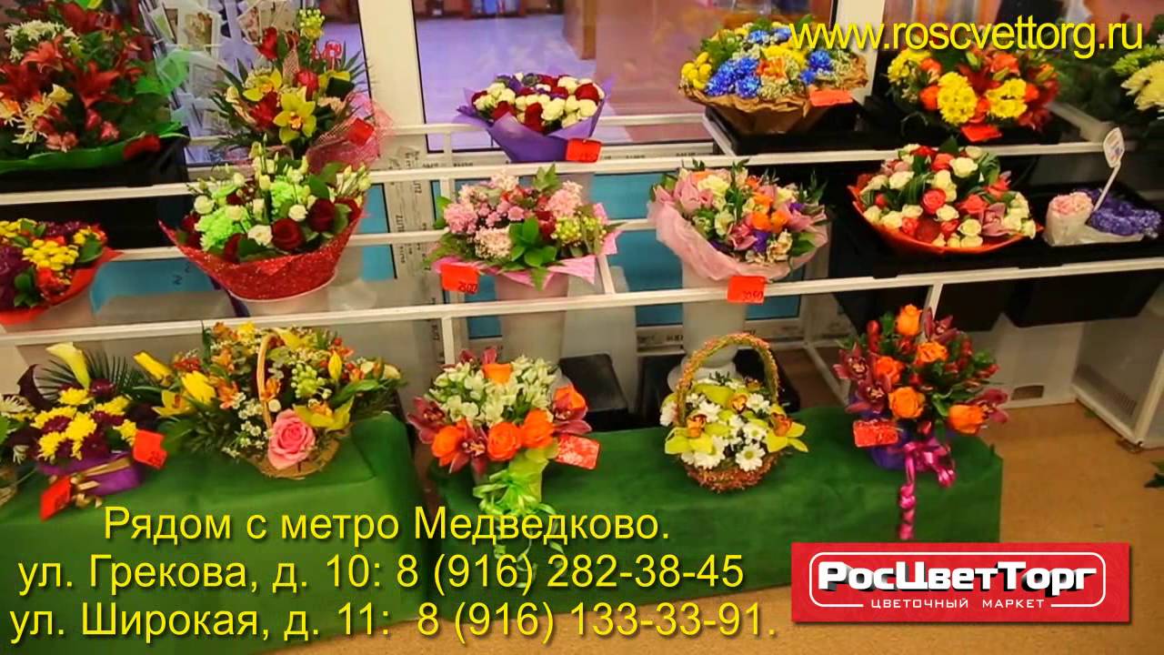 Метро Медведково Проститутки Номер