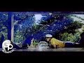Anie Carera - Cintaku Takkan Berubah (Official Music Video)