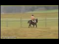 El diablo ataca a una joven ya un pony