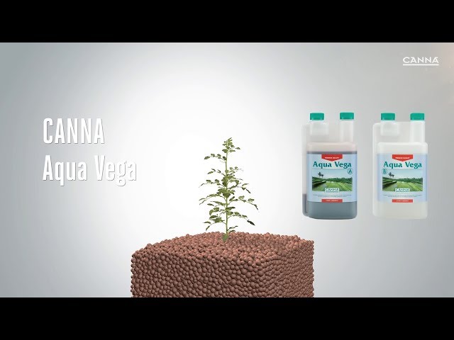 Watch (ES-CL) CANNA Aqua Vega on YouTube.