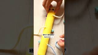 つまむ引っ張るが楽しい時期の子どもたちへナナフシくんと遊ぶのはいかがでしょう