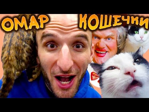 Омар и кошки // Омар в большом городе