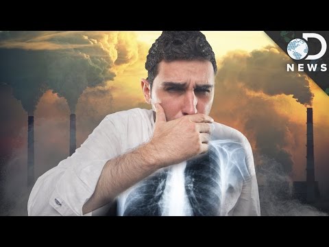 Pollution Video