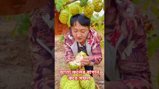 আত ফলর বগন কর সফল
