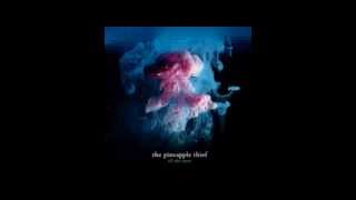 Watch Pineapple Thief Reaching Out video