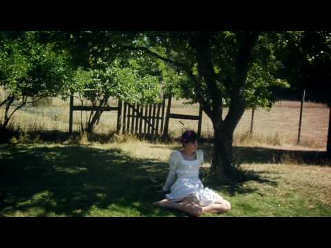 Parenthetical Girls