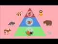 Interactions between biotic and abiotic factors - WELS (Waterpedia Environmental Learning Series) download mp3 dan video Interactions between biotic and abiotic factors - WELS (Waterpedia Environmental Learning Series)