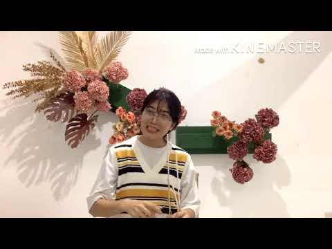 ไอเดีย จัดซุ้มดอกไม้