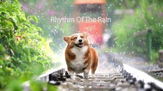 Rhythm Of The Rain - Beu - Chill Music