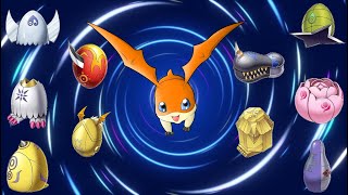 Patamon Armor Evolution Line
