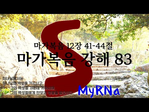 마가복음 강해
