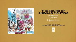 Watch Sound Of Animals Fighting Horses In The Sky video