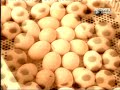 Así se Hace 3x11 Radiador de Coche, Cria de Pollos, Masa Filo y Esquís de Fondo 1 1