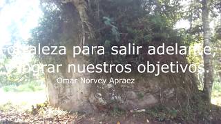 Fortaleza Para Seguir Adelante Y Vencer Las Vicisitudes....