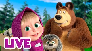 Live 玛莎和熊 魔法时间 Masha And The Bear 儿童动画片