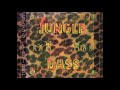 Bass Tribe - It began in Africa