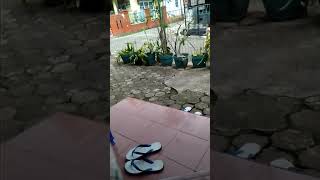 Iklan Sempak