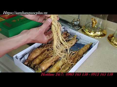Sâm tươi Hàn Quốc - rượu sâm hàn quốc