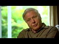 Rare frogs & endangered species - Planet Earth - BBC wildlife