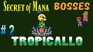 Secret of Mana - Boss 2: Tropicallo