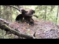 Tuuli 2012-08-06-07 08:08